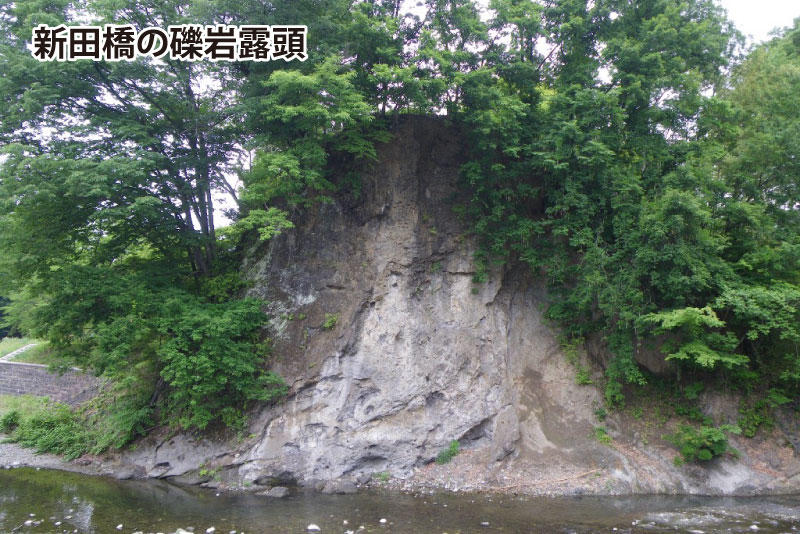 新田橋の礫岩露頭・横瀬町歴史民俗資料館 - 埼玉県立自然の博物館