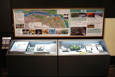岩畳周辺の鳥観図と季節の動植物の展示の写真