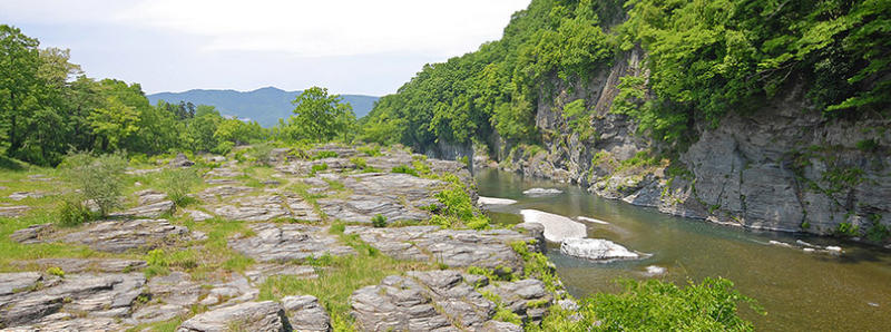 トップページ 埼玉県立自然の博物館