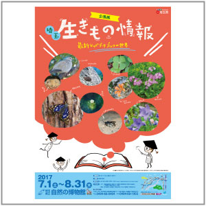 企画展埼玉生きもの情報チラシ画像 企画展埼玉生きもの情報チラシ画像