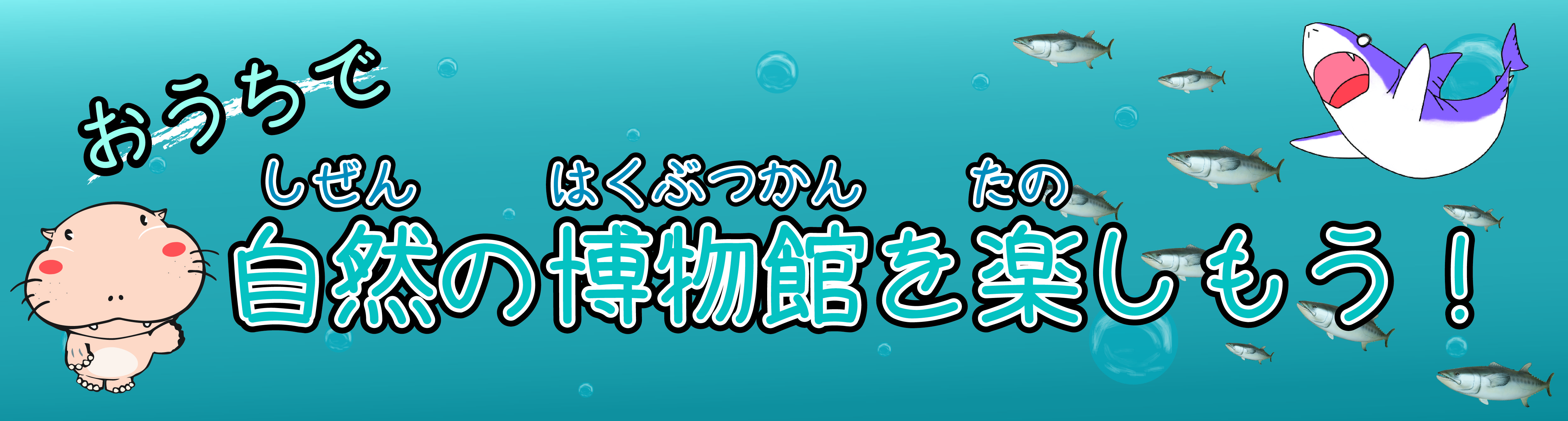 おうちで自然の博物館を楽しもう！