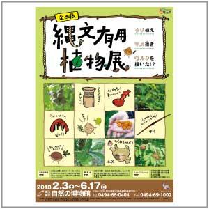 honetokawa 縄文有用植物展