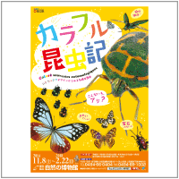 カラフルこんちゅうき ポスター カラフルこんちゅうき ポスター