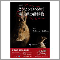 どうなっているの?さいたまけんのどうしょくぶつ ポスター どうなっているの?さいたまけんのどうしょくぶつ ポスター