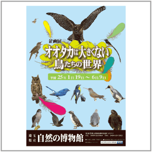 オオタカはおおきくない とりだけのせかい ポスター オオタカはおおきくない とりだけのせかい ポスター