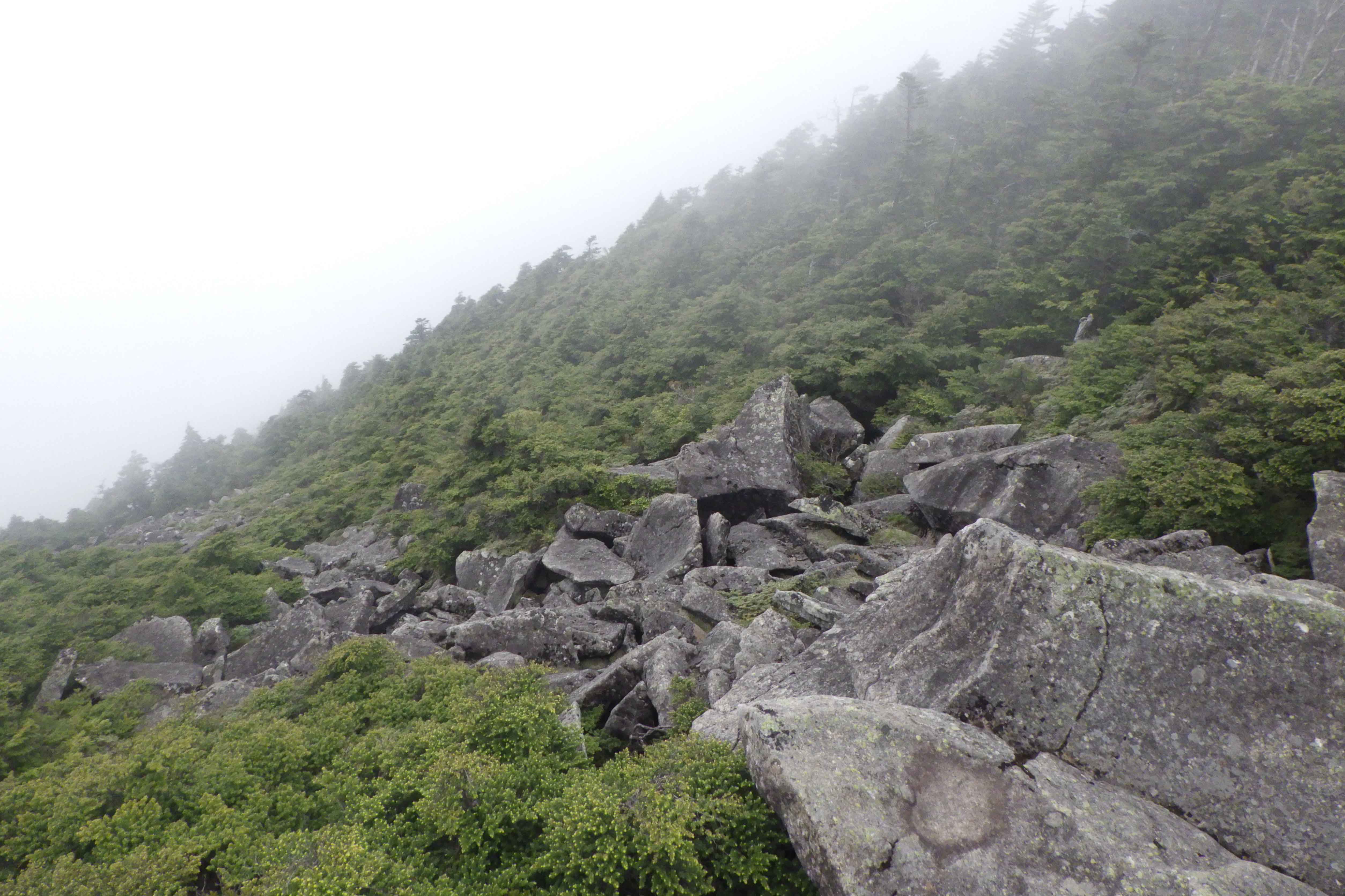 破風山の岩塊斜面 - 埼玉県立自然の博物館