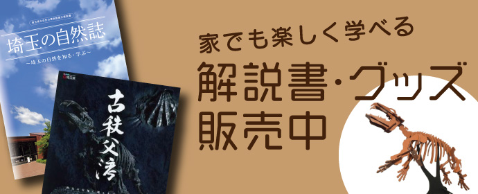 解説書・グッズ販売ページ