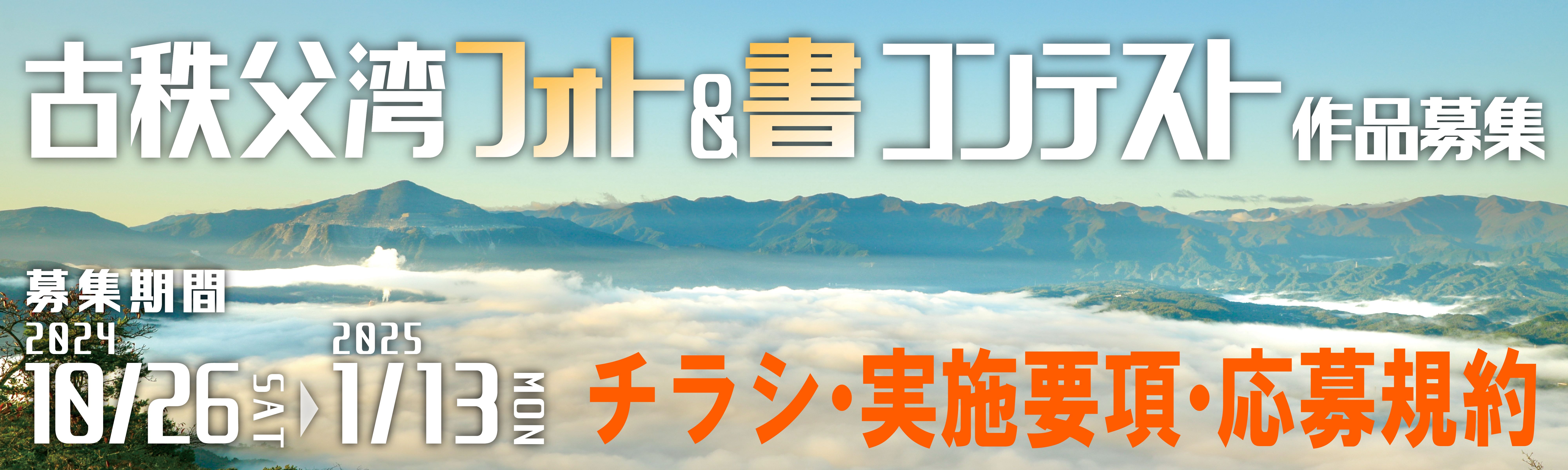 化石巨大ザメ メガロドン