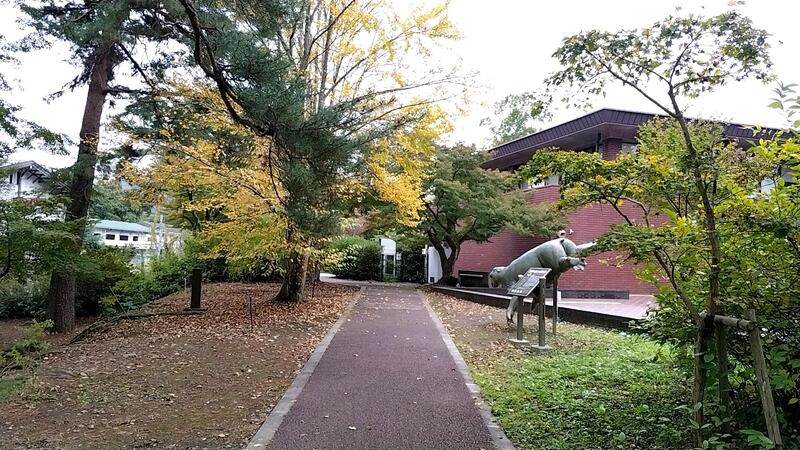 1107岩石園付近園路