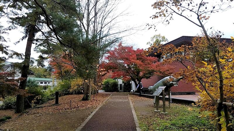 1116岩石園付近園路