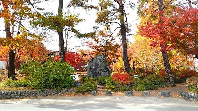 1120「日本地質学発祥の地」付近