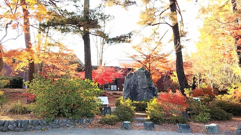 1120「日本地質学発祥の地」付近