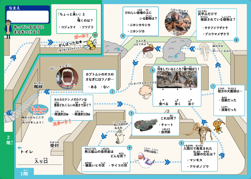 クイズふつう