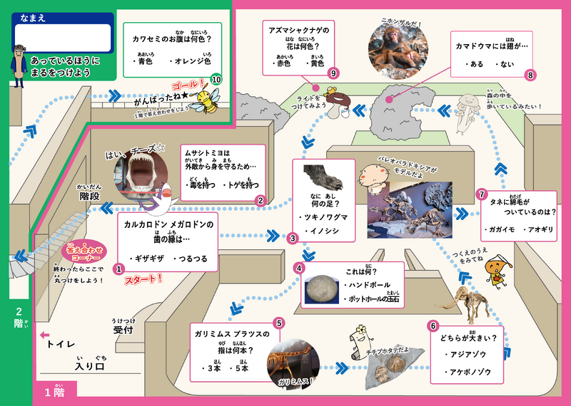 クイズやさしい