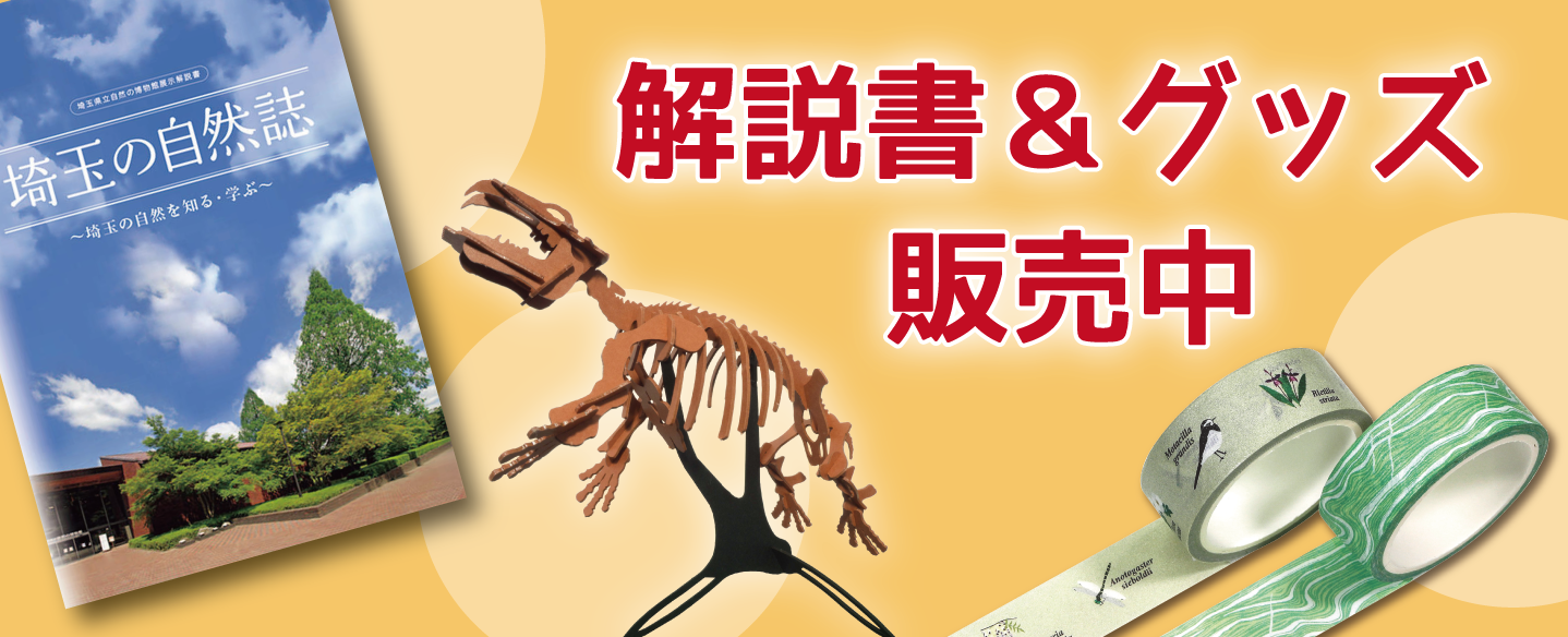 解説書・グッズ販売ページ