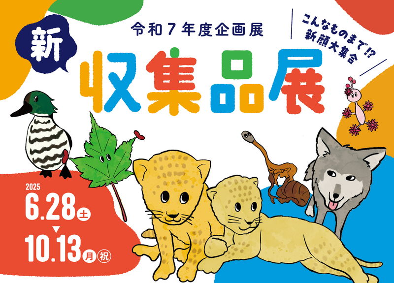 企画展バナー