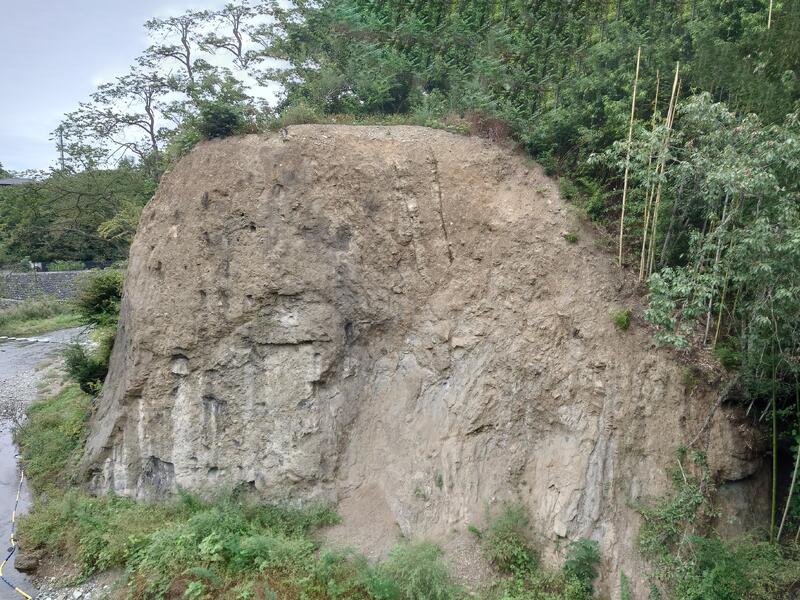 新田橋の礫岩露頭の画像