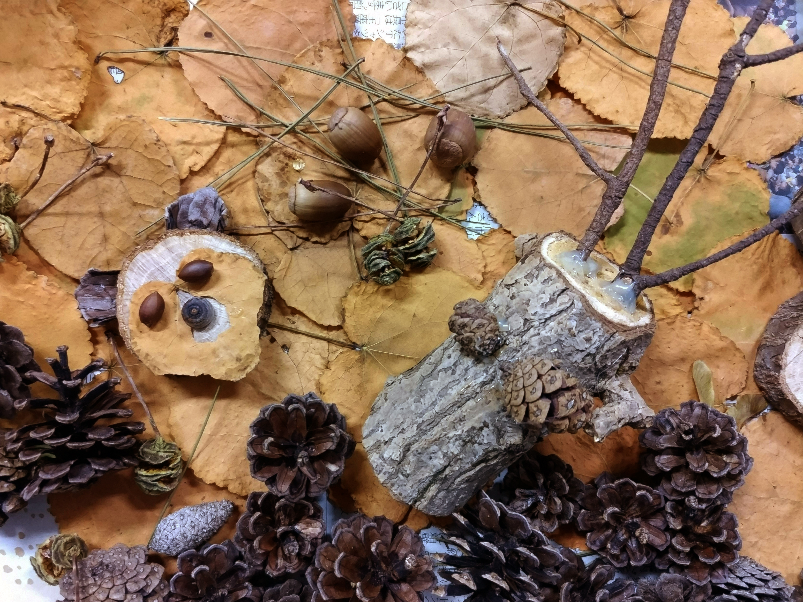 動物オブジェの写真