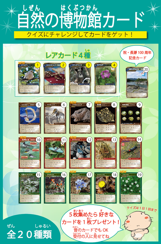 【新】博物館カード一覧表