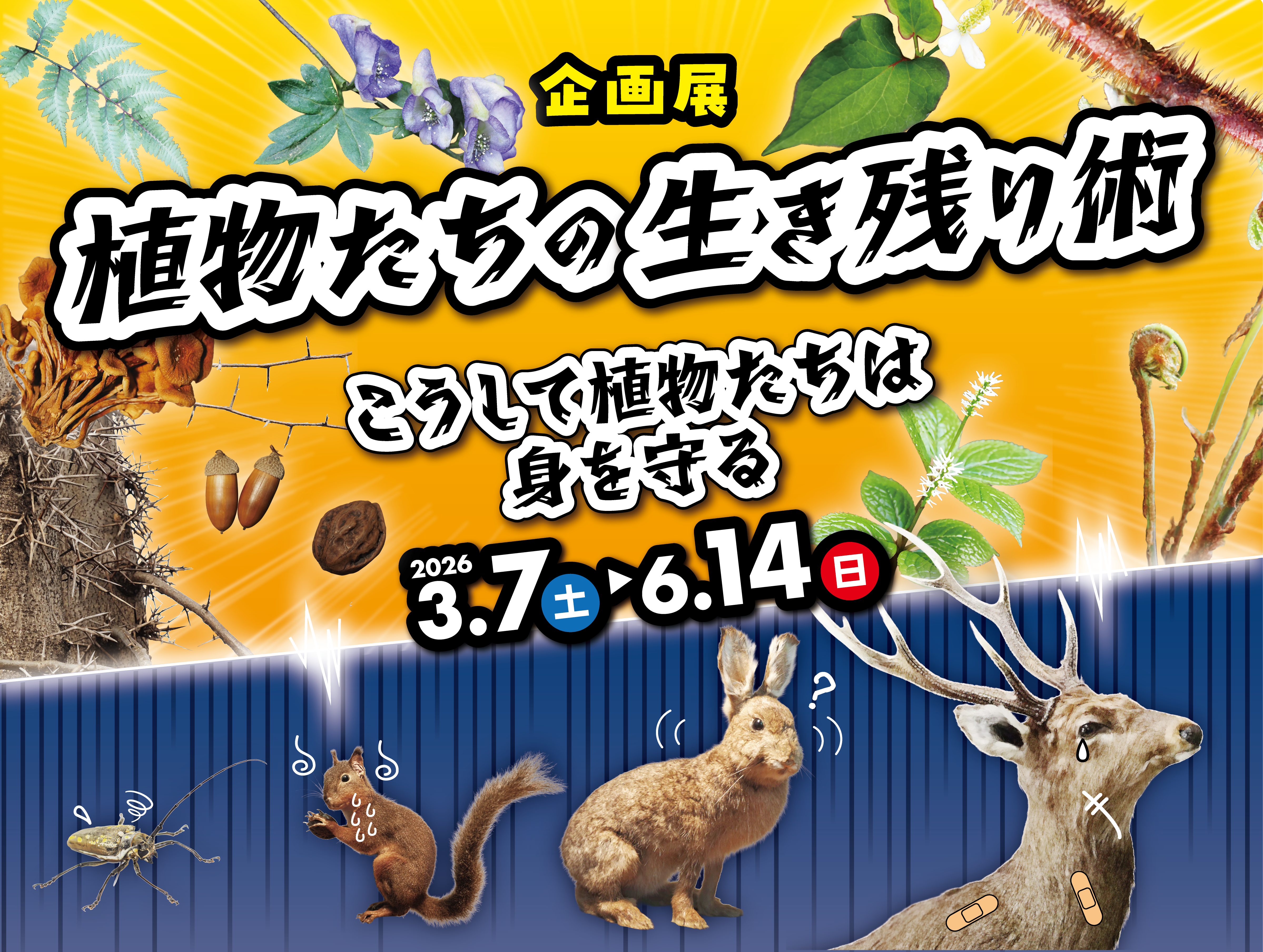 企画展「植物たちの生き残り術」