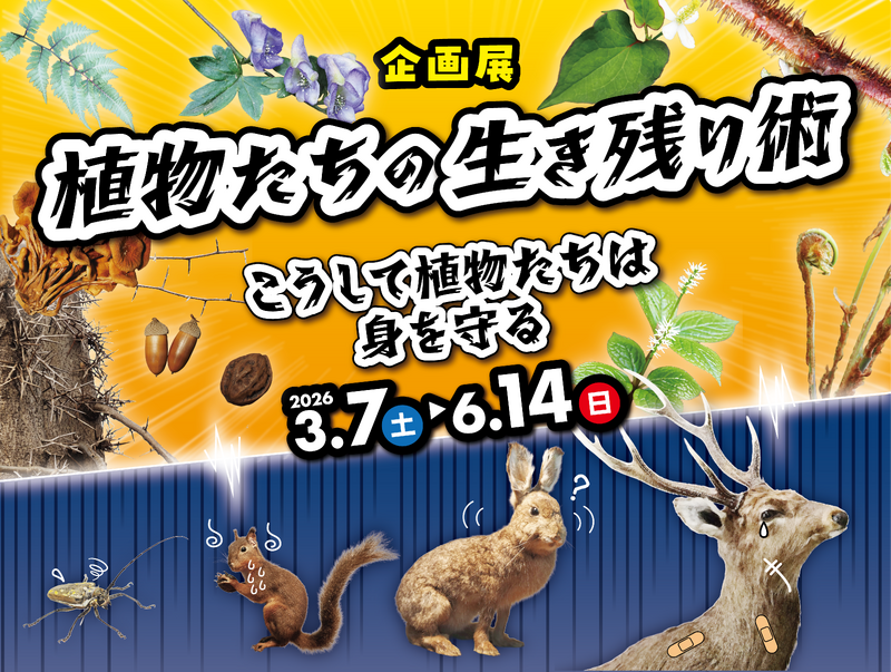 企画展「植物たちの生き残り術」バナー