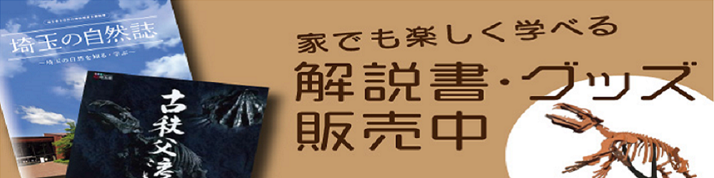 解説書・グッズ販売ページ