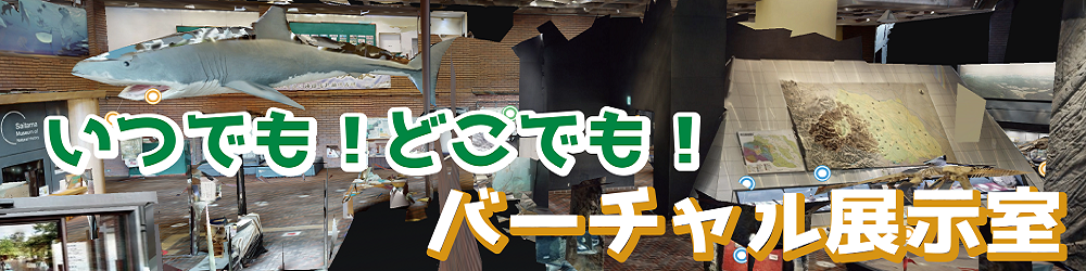 バーチャル展示室バナー