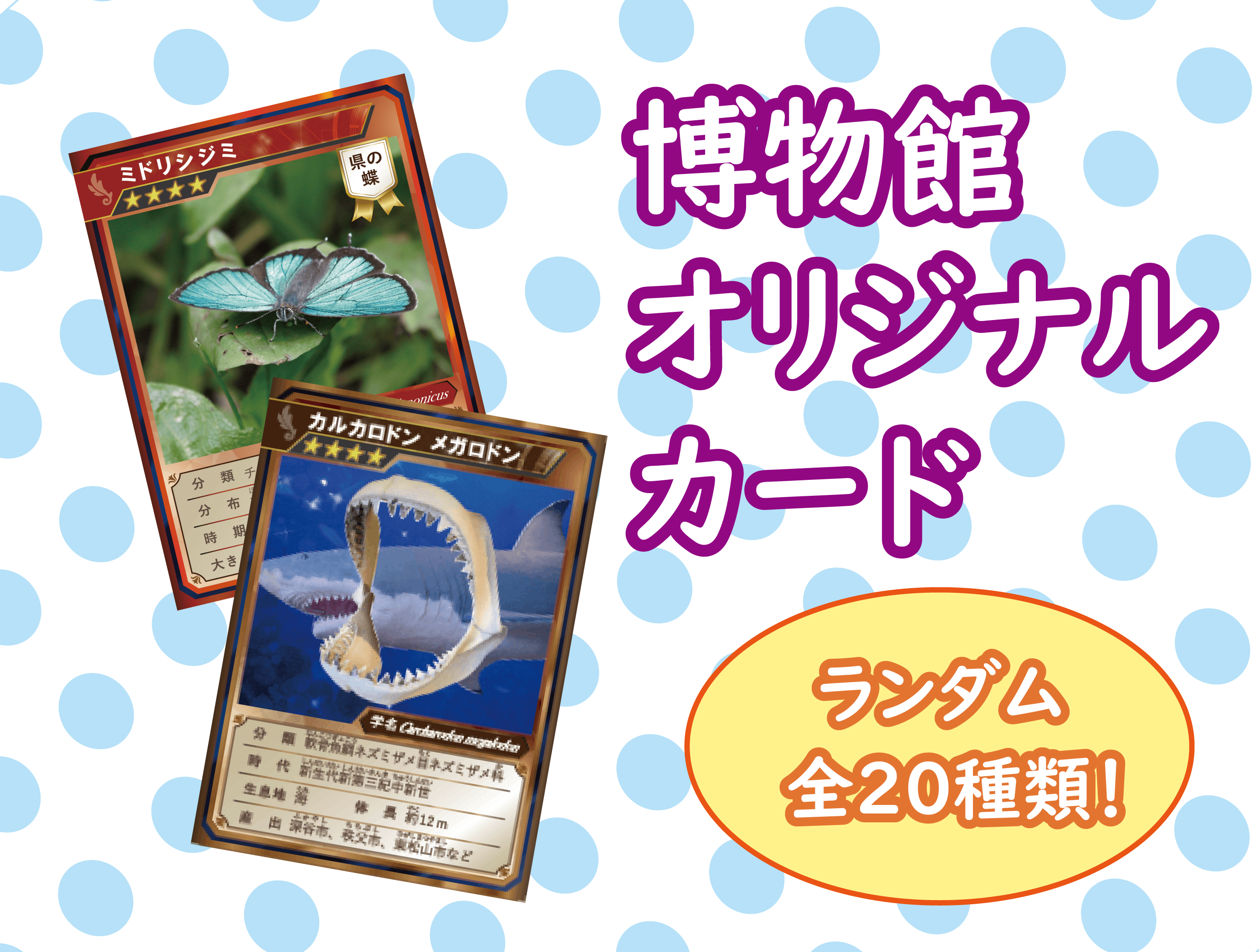 イベント「博物館オリジナルカードをゲット！」広報用画像
