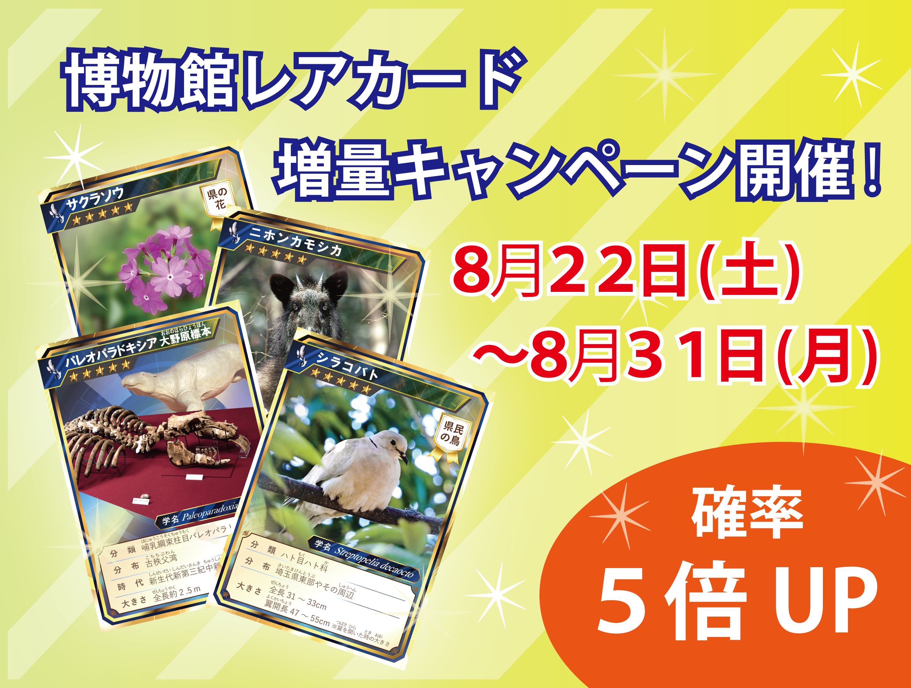 イベント「博物館オリジナルカードをゲット！」広報用画像