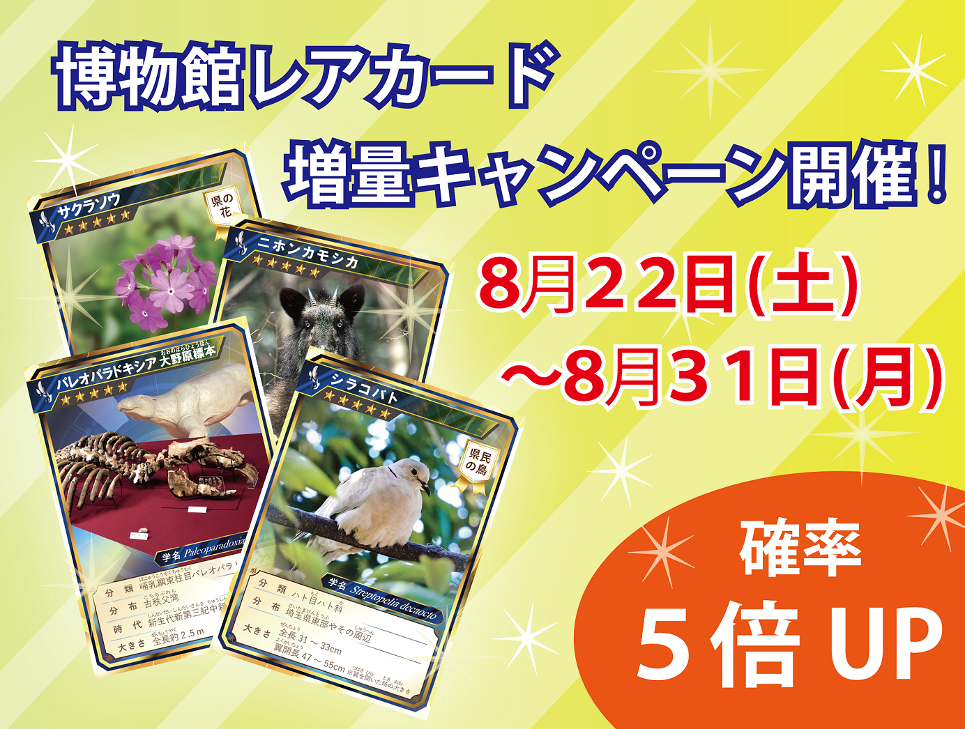 イベント「博物館オリジナルカードをゲット！」広報用画像