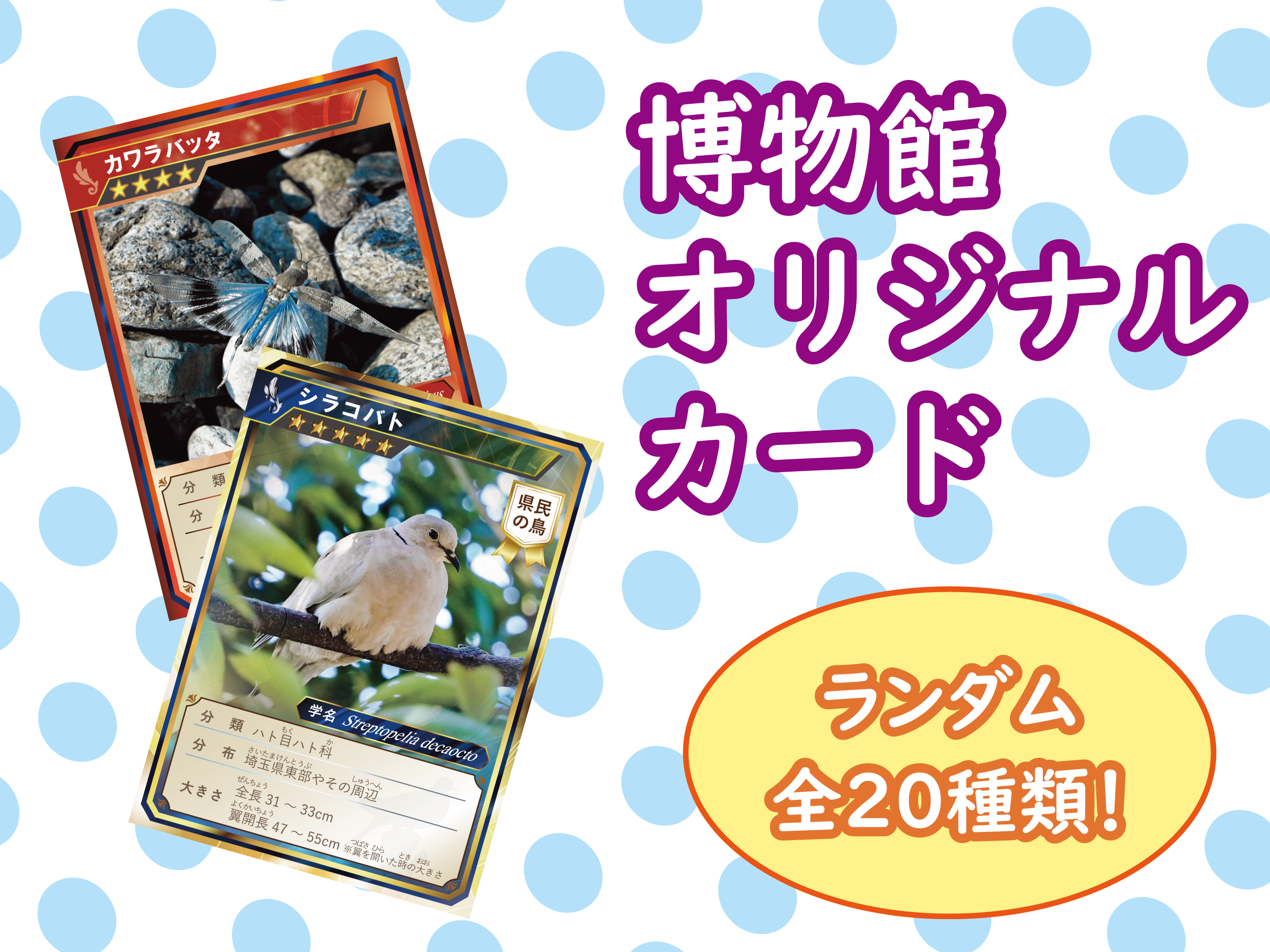 イベント「博物館オリジナルカードをゲット！」広報用画像