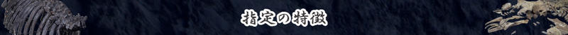 していのとくちょう していのとくちょう