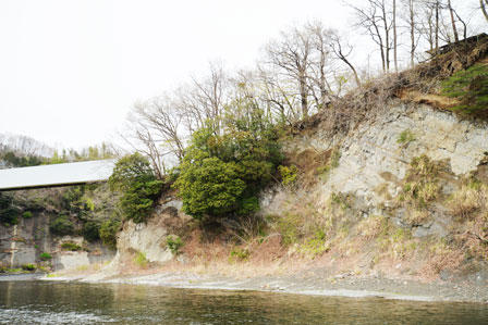 大野原パレオパラドキシア化石産地 埼玉県立自然の博物館