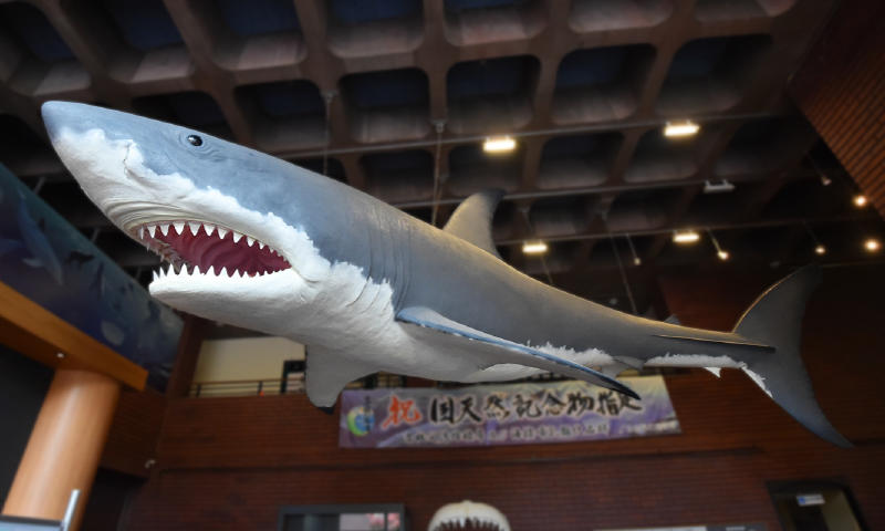 オリエンテーションホール - 埼玉県立自然の博物館