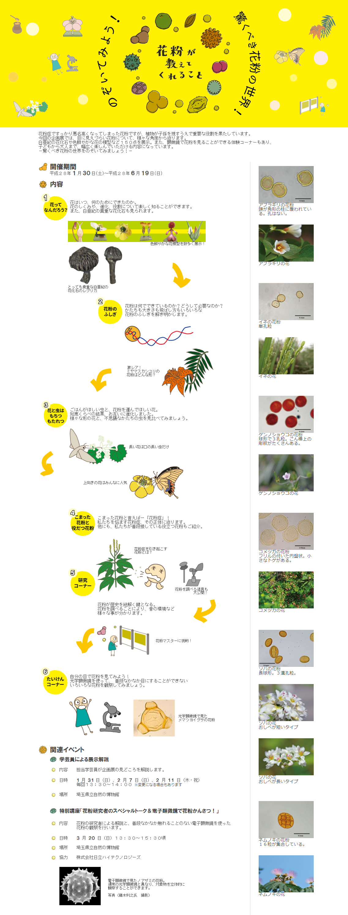 企画展示「 花粉が教えてくれること 」