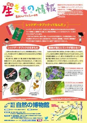 チラシ裏面 チラシ裏面