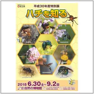 特別展「ハチを知る」チラシ