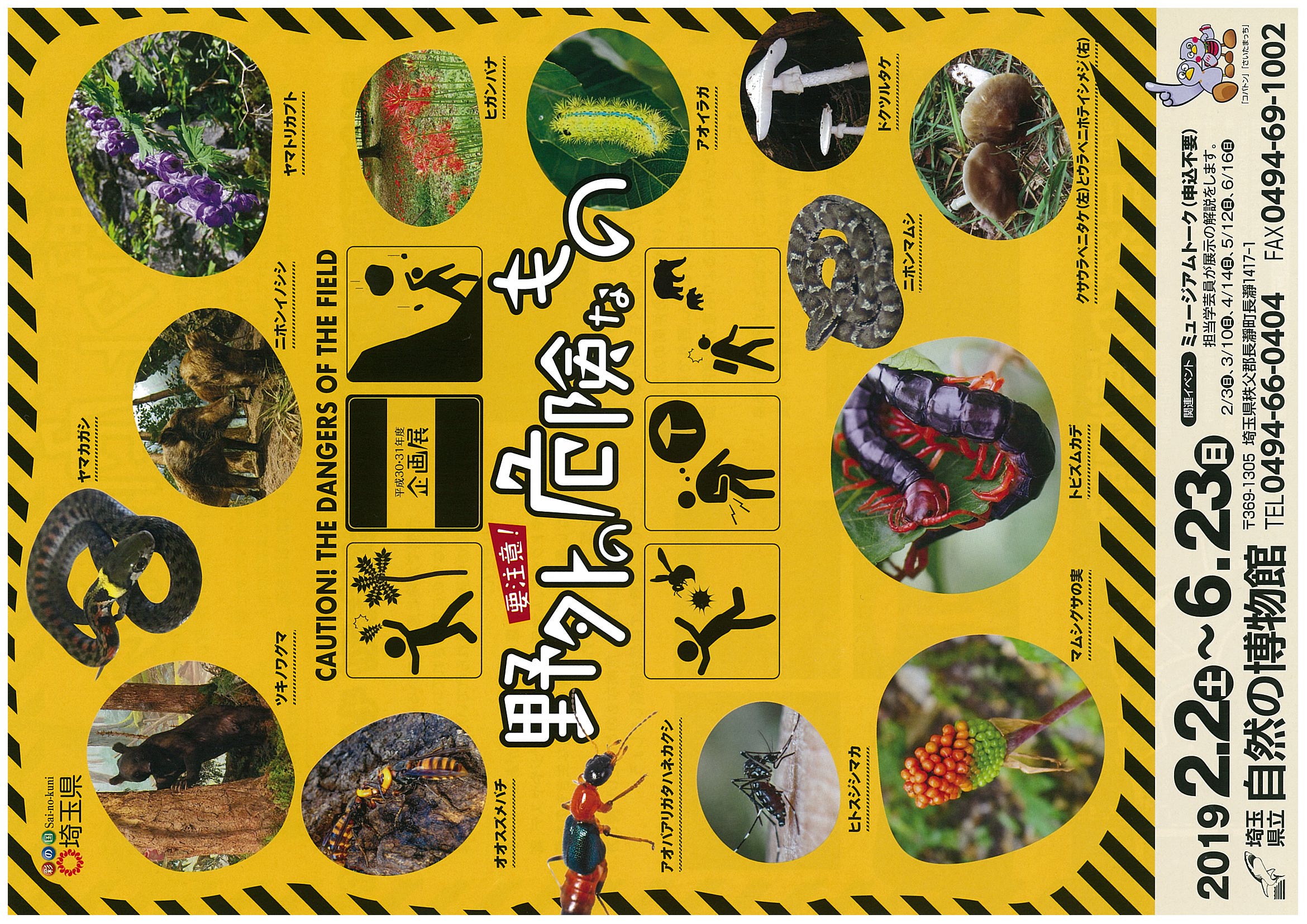 企画展「野外の危険なもの」チラシ 企画展「野外の危険なもの」チラシ
