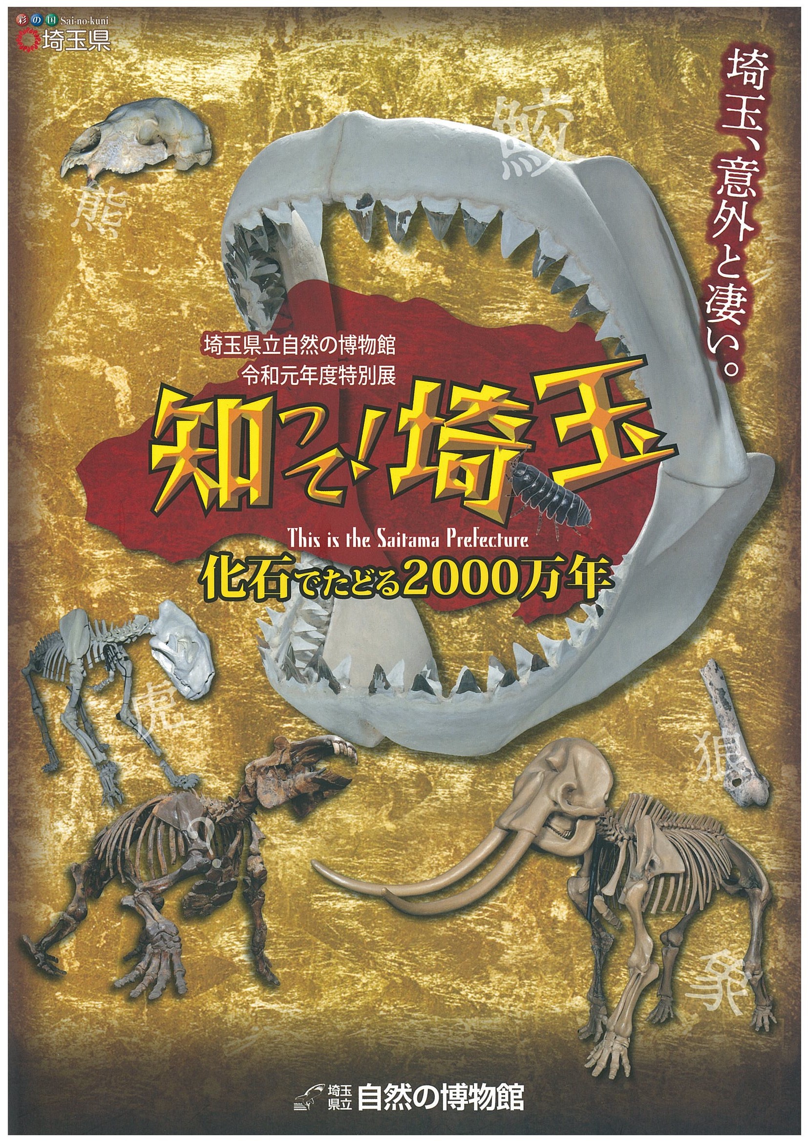 特別展「知って!埼玉 化石でたどる2000万年」 特別展「知って!埼玉 化石でたどる2000万年」