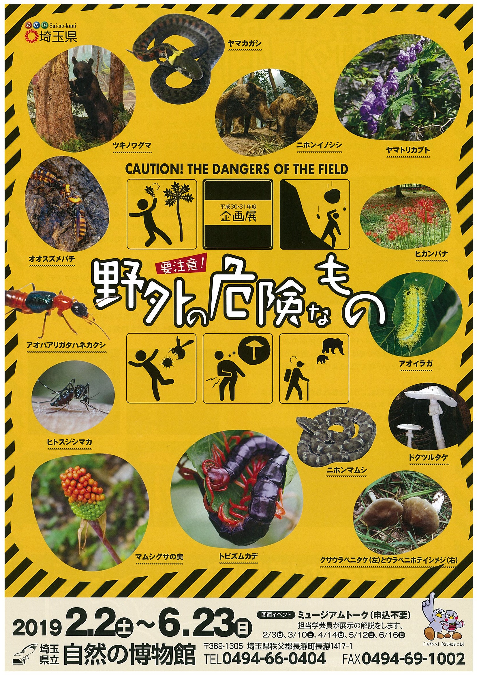 企画展「野外の危険なもの」チラシ 企画展「野外の危険なもの」チラシ