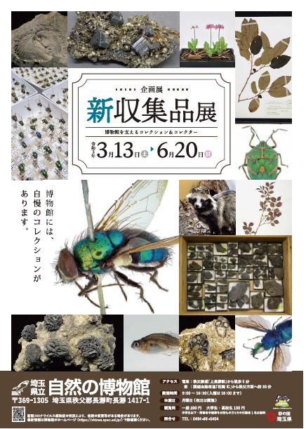 企画展「新収集品展」 企画展「新収集品展」