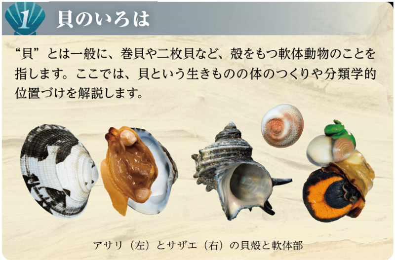 CYHM様 ウィッグオーダー専用ページ