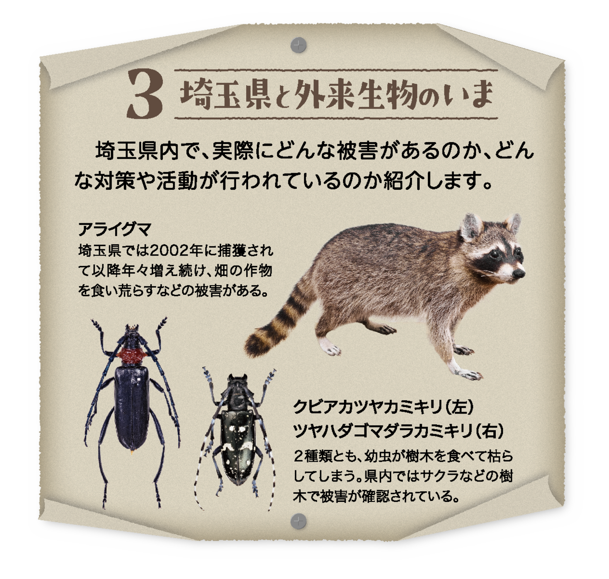 3 埼玉県と外来生物のいま