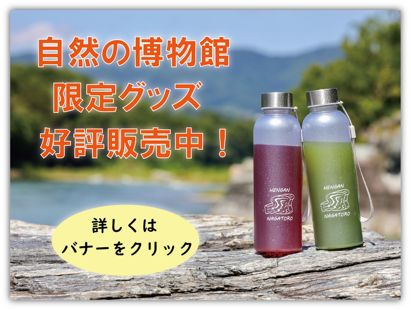 グッズ情報バナー