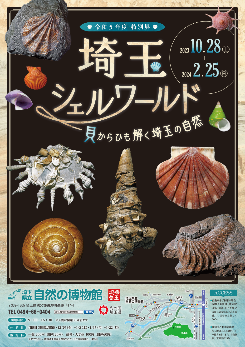 令和5年度特別展「埼玉シェルワールドー貝からひも解く埼玉の自然ー」