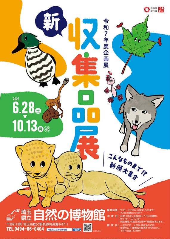 企画展「新収集品展」チラシ画像