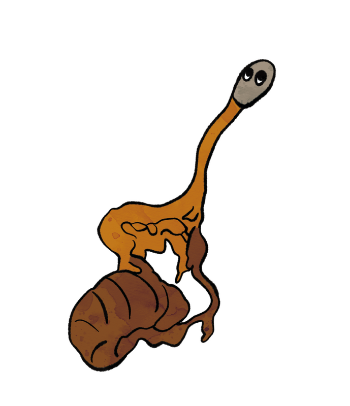 オオセミタケのキャラクター