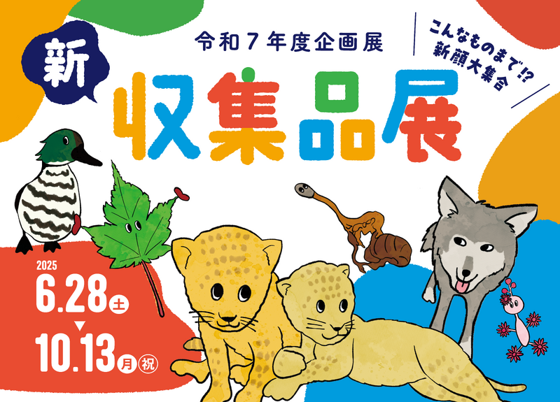 企画展「新収集品展」バナー