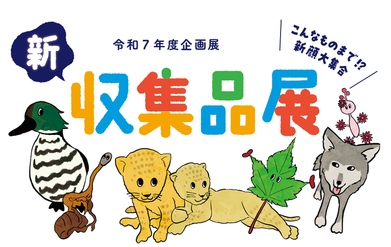 企画展「新収集品展 ～こんなものまで!?新顔大集合～」