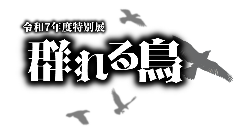 特別展「群れる鳥」